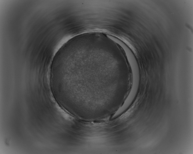 X0000091851054200709261203