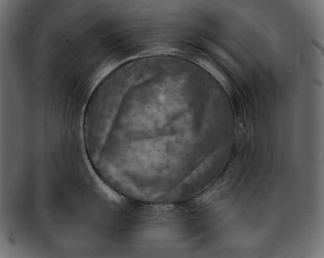 X0000091851055200709261203