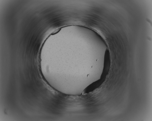 X0000091851056200709261203