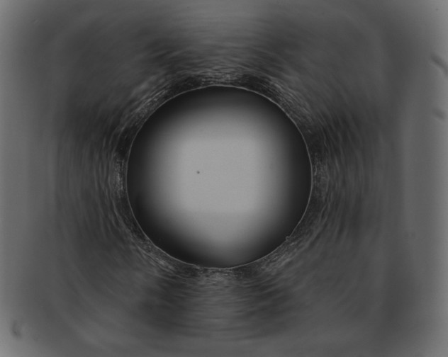 X0000091851058200709261203