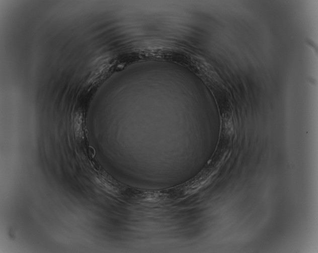 X0000091851060200709261203