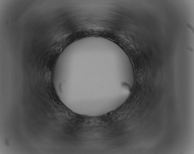 X0000091851061200709261203