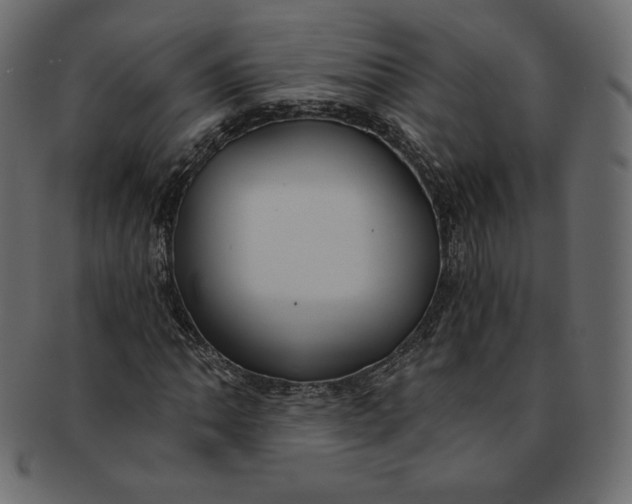 X0000091851062200709261203