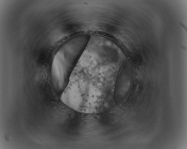 X0000091851063200709261203