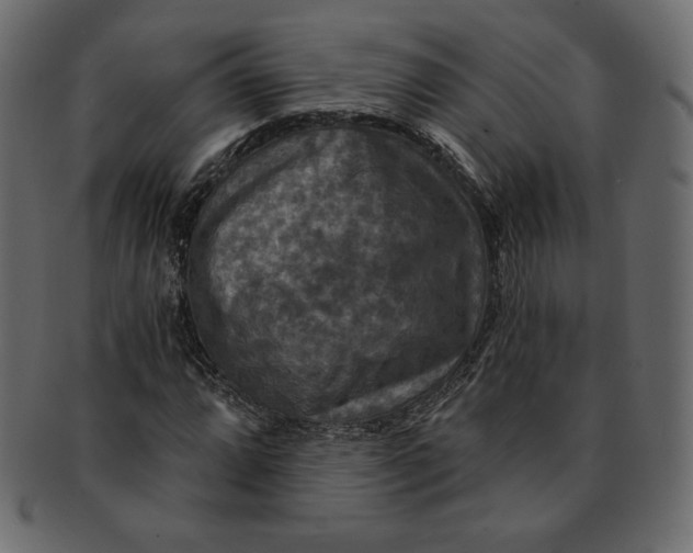 X0000091851064200709261203