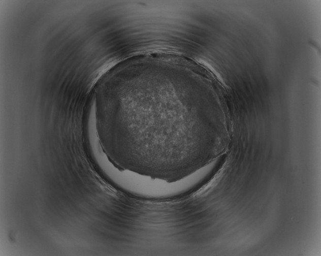 X0000091851065200709261203