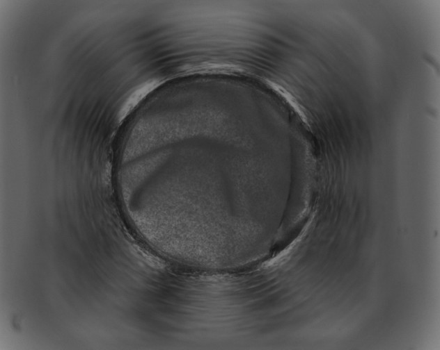 X0000091851066200709261203