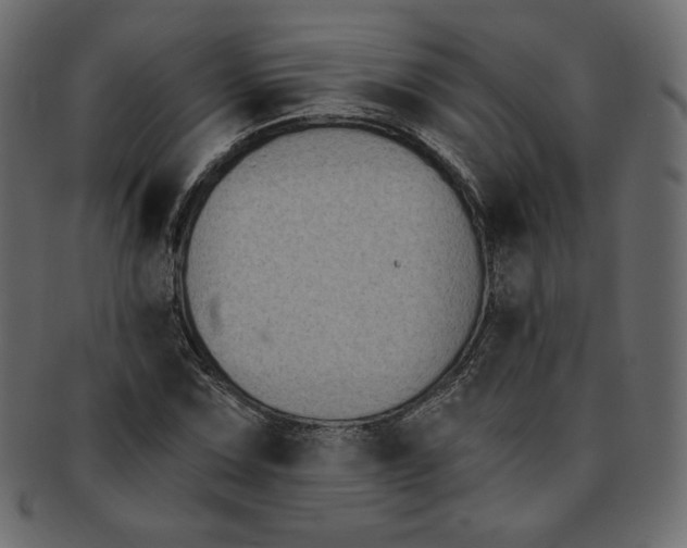 X0000091851067200709261202