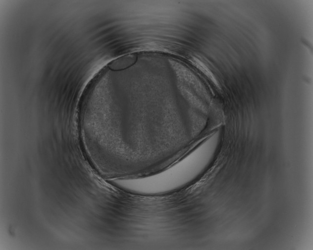 X0000091851068200709261202