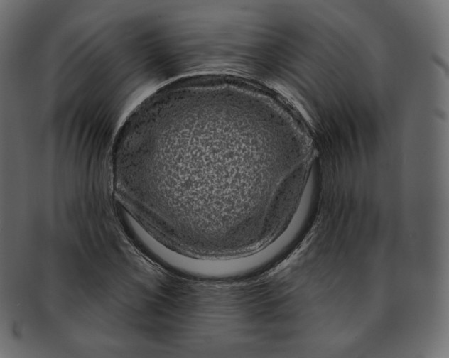 X0000091851069200709261202