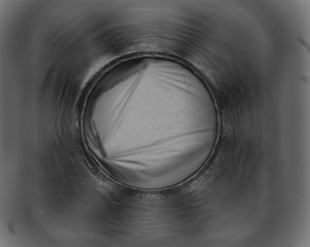 X0000091851070200709261202