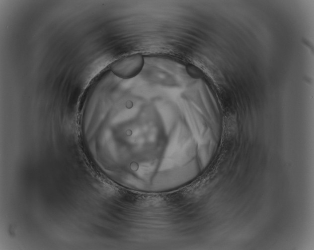 X0000091851071200709261202