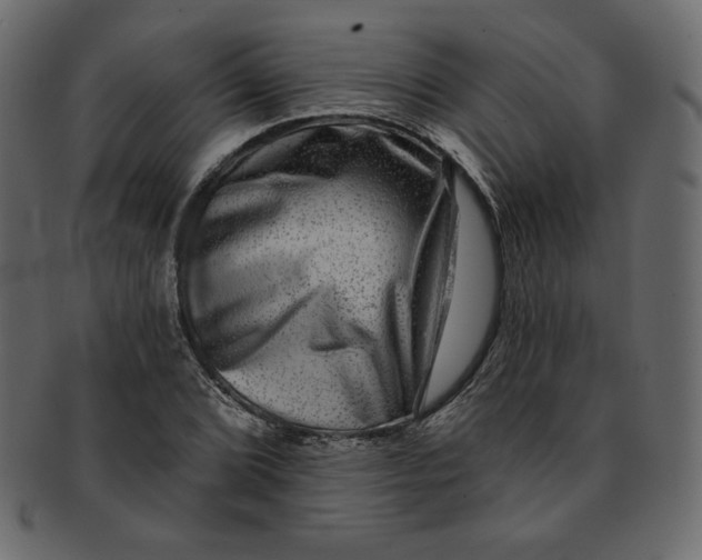 X0000091851072200709261202