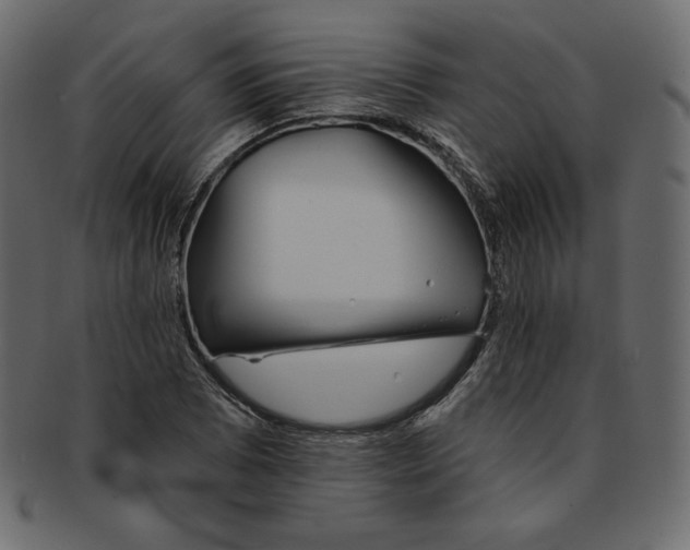 X0000091851073200709261202