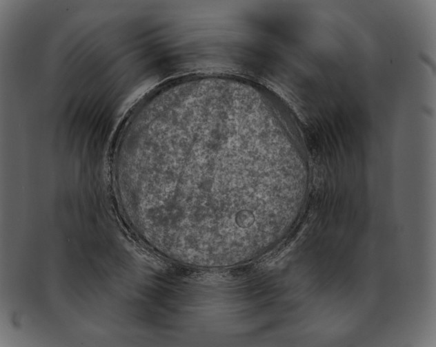 X0000091851074200709261202