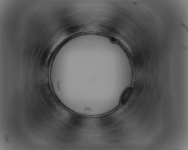 X0000091851075200709261202