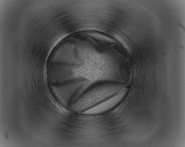 X0000091851076200709261202