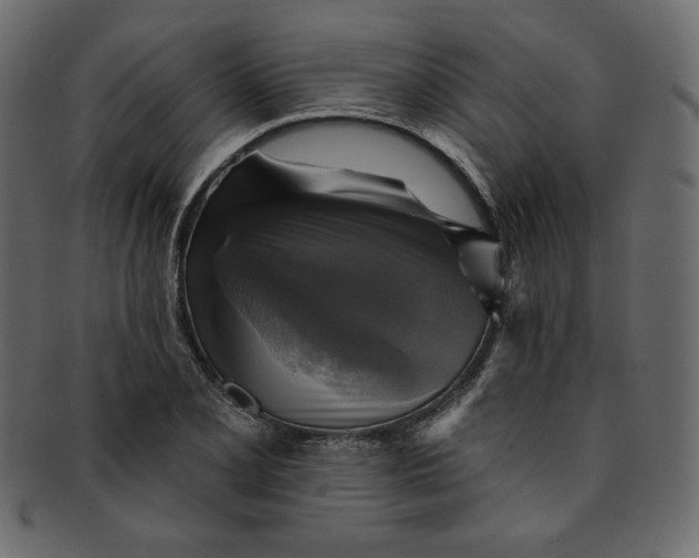 X0000091851077200709261202