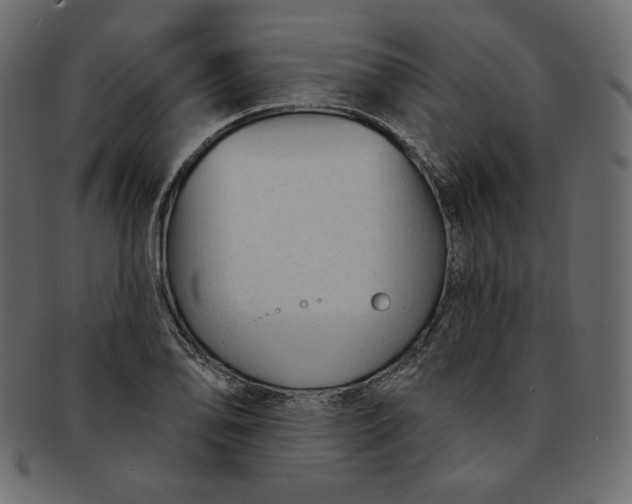 X0000091851078200709261202