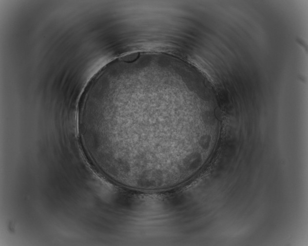 X0000091851079200709261202