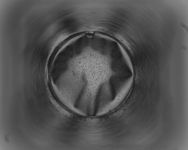 X0000091851080200709261202