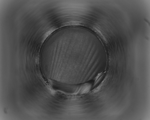 X0000091851081200709261202