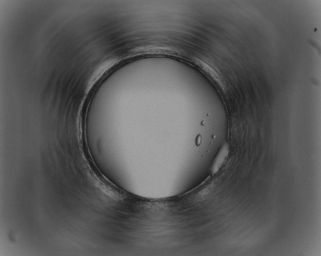 X0000091851082200709261202