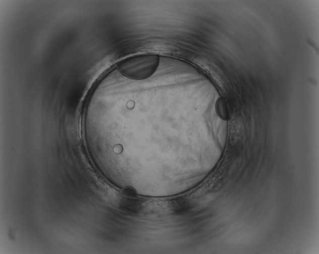 X0000091851083200709261202