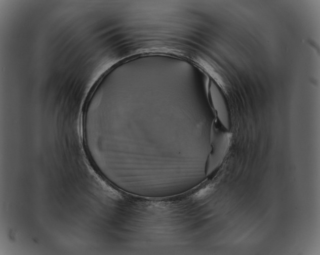 X0000091851084200709261202