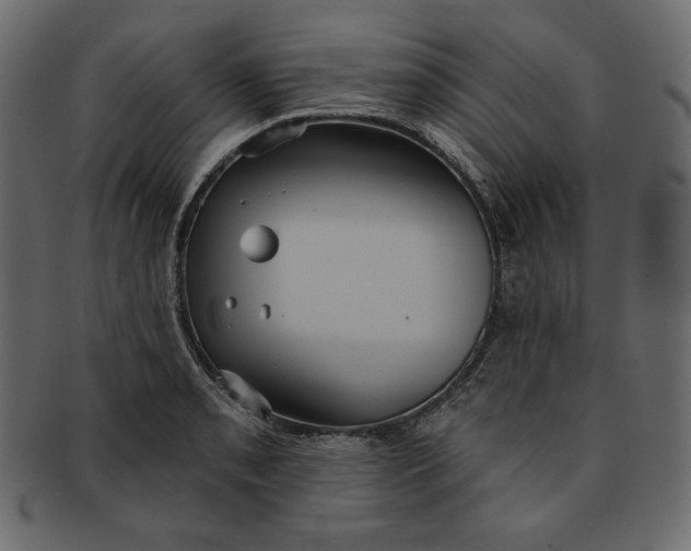 X0000091851085200709261202