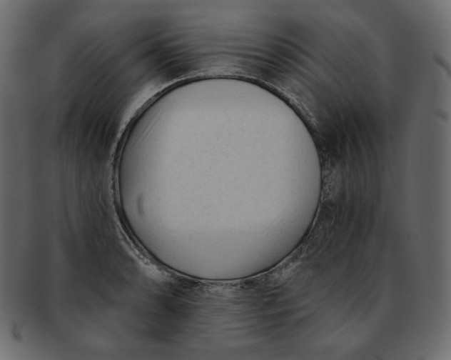 X0000091851086200709261202