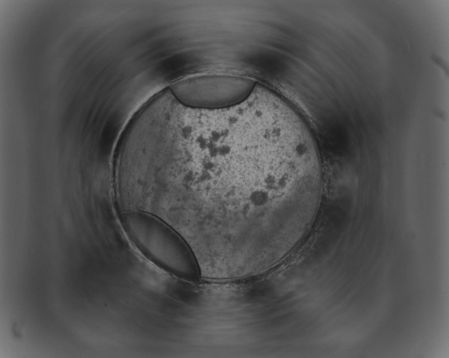 X0000091851087200709261202