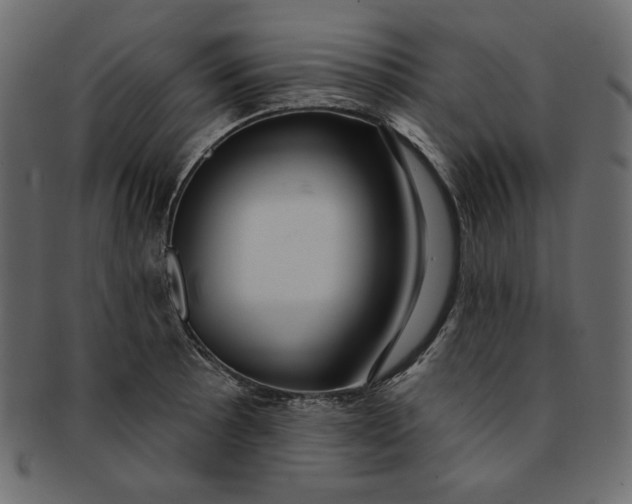 X0000091851089200709261202