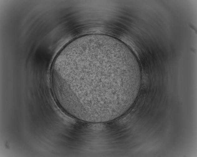 X0000091851090200709261202