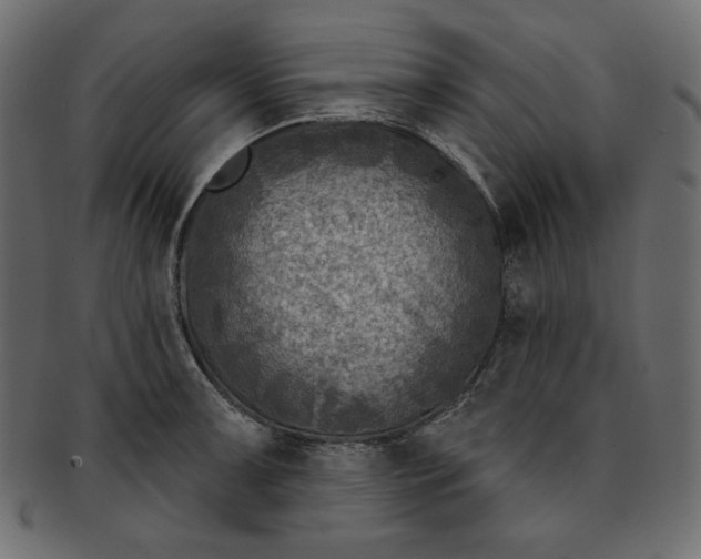 X0000091851091200709261202