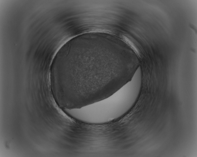 X0000091851092200709261202