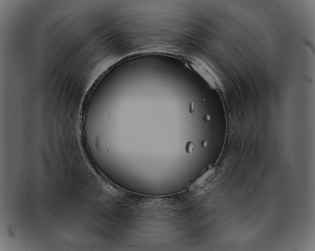 X0000091851093200709261202