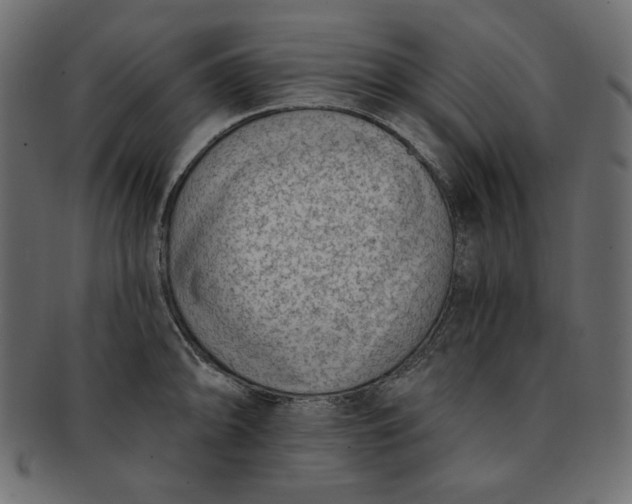 X0000091851094200709261202