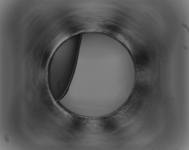 X0000091851095200709261202