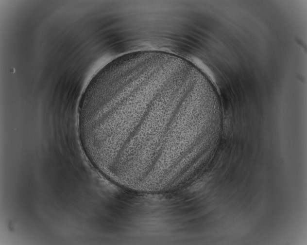 X0000091851096200709261202