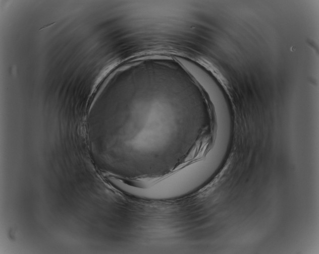 X0000091851097200709261202