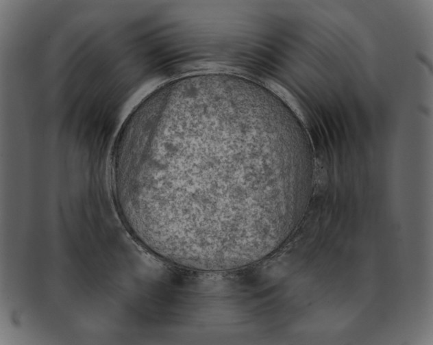 X0000091851098200709261202