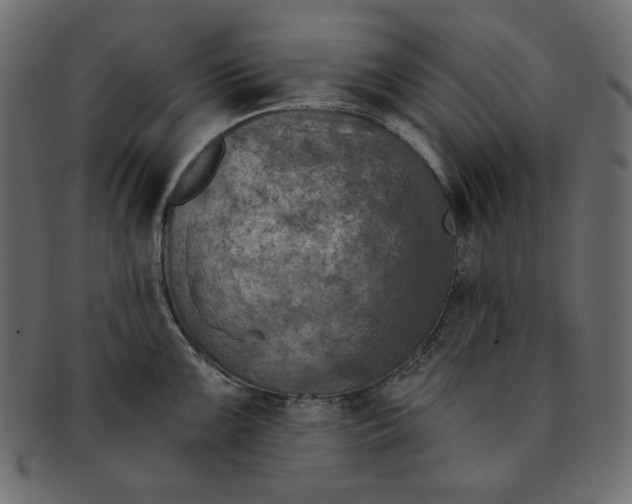 X0000091851099200709261202