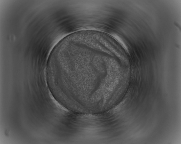 X0000091851100200709261202