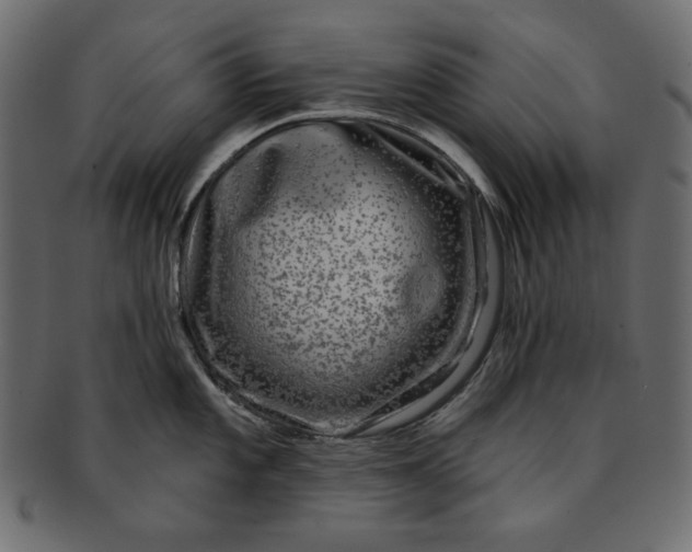 X0000091851101200709261202