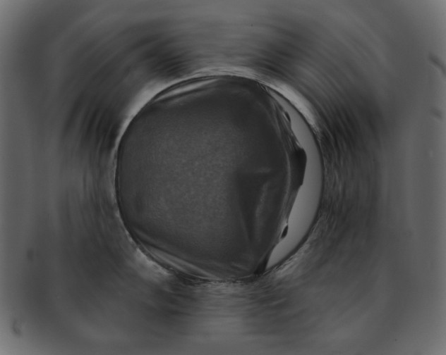 X0000091851102200709261202