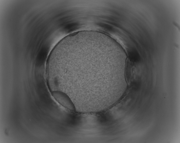 X0000091851103200709261202