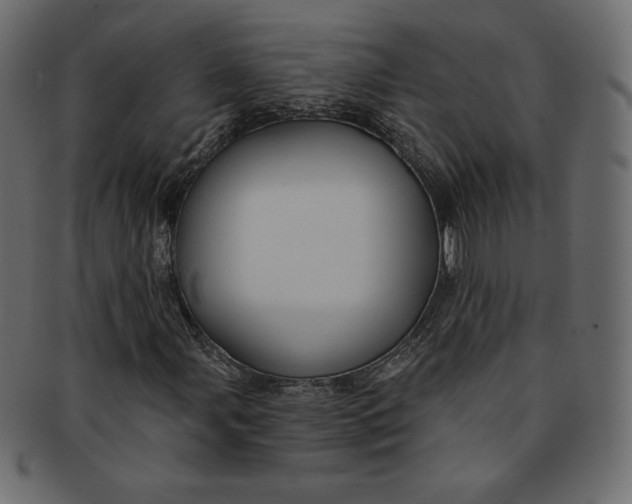 X0000091851107200709261202