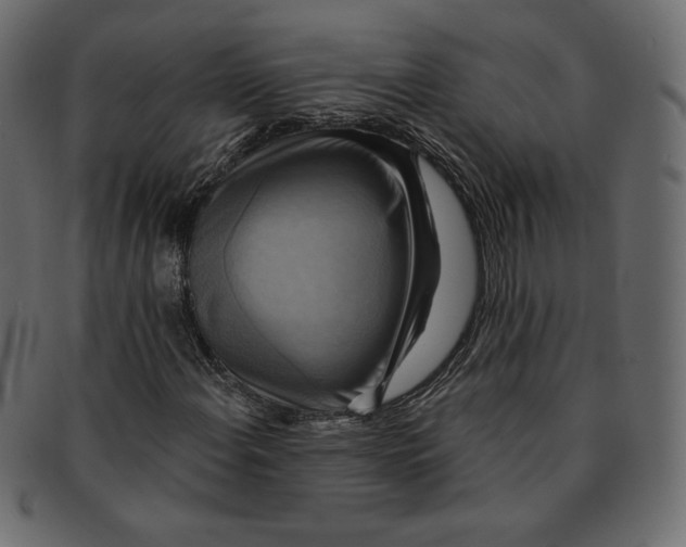 X0000091851108200709261202