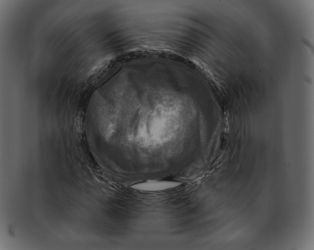 X0000091851110200709261202